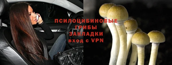 MESCALINE Аркадак