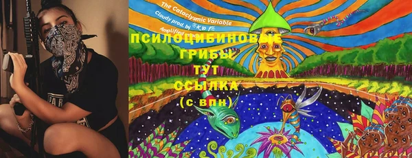 MESCALINE Аркадак