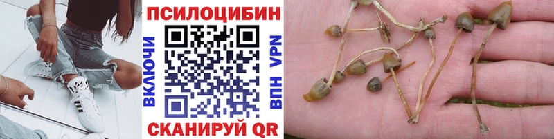 закладки  Навашино  kraken сайт  Галлюциногенные грибы мицелий 