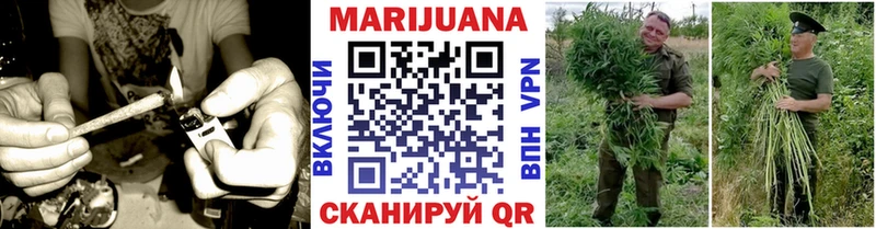 дарнет шоп  Навашино  кракен как войти  Марихуана планчик 